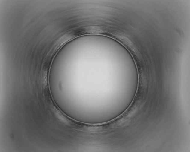 X0000113890889200910081806