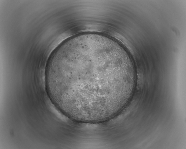 X0000113890890200910081806