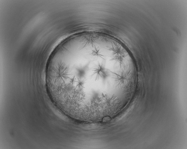 X0000113890891200910081806