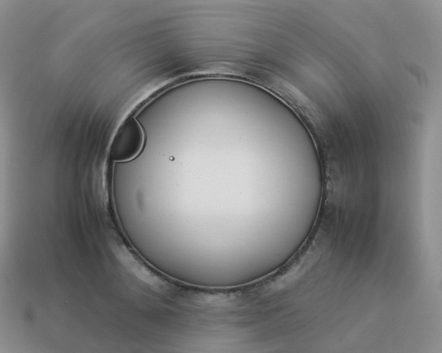 X0000113890892200910081806