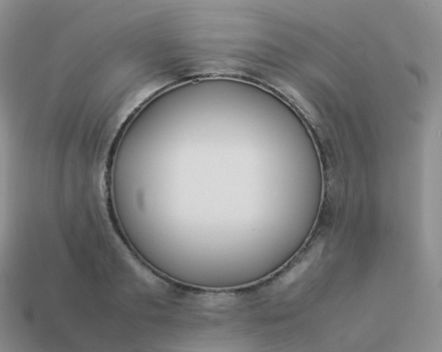 X0000113890893200910081806