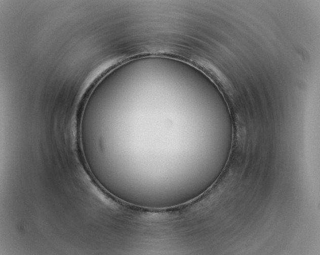 X0000113890894200910081806