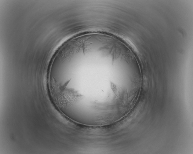 X0000113890895200910081806