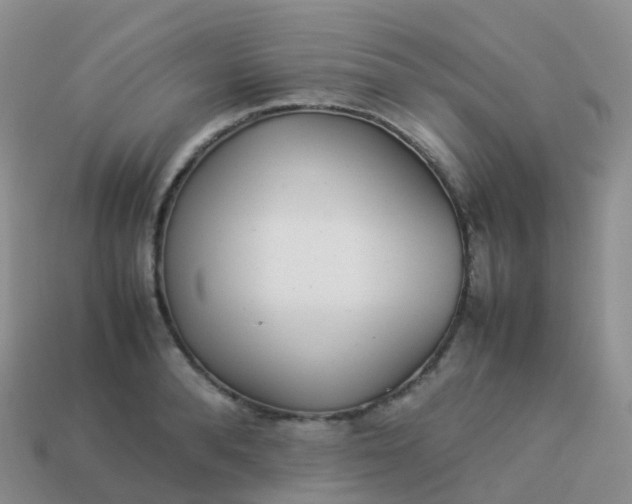 X0000113890896200910081806