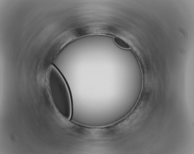 X0000113890897200910081806