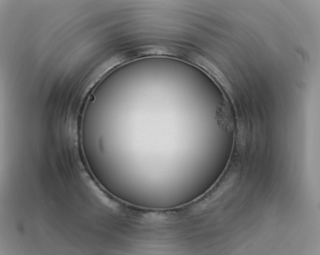 X0000113890898200910081806