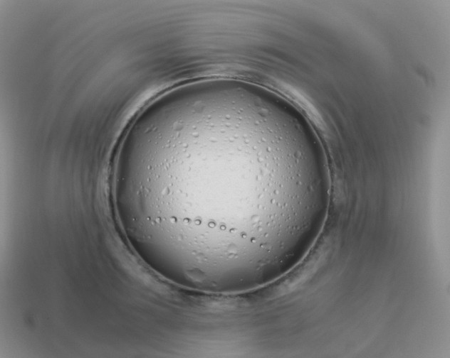 X0000113890899200910081806