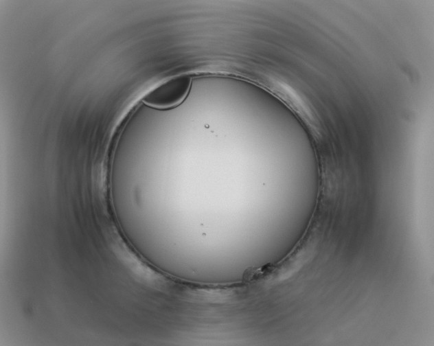 X0000113890900200910081806