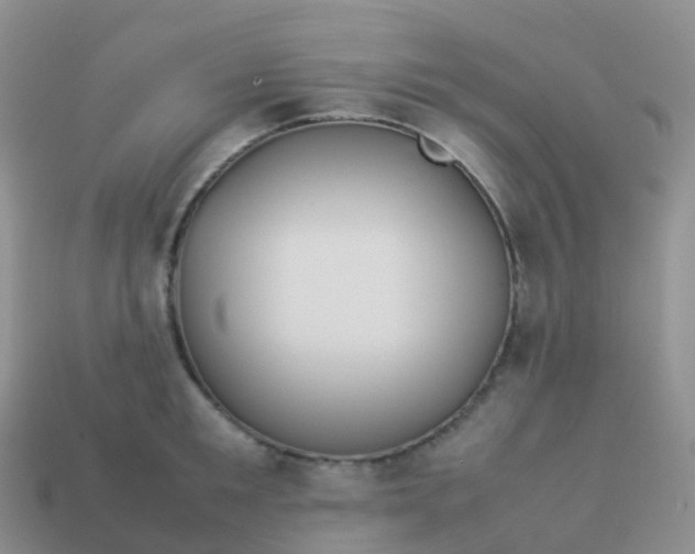 X0000113890901200910081806