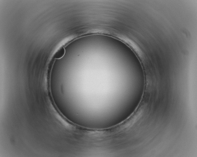 X0000113890902200910081806