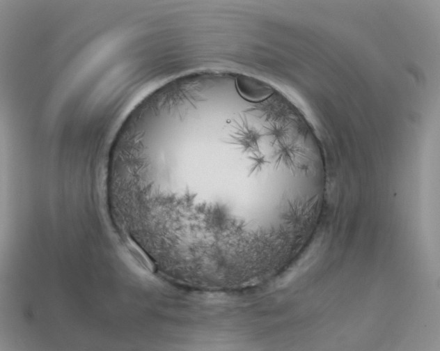 X0000113890903200910081806