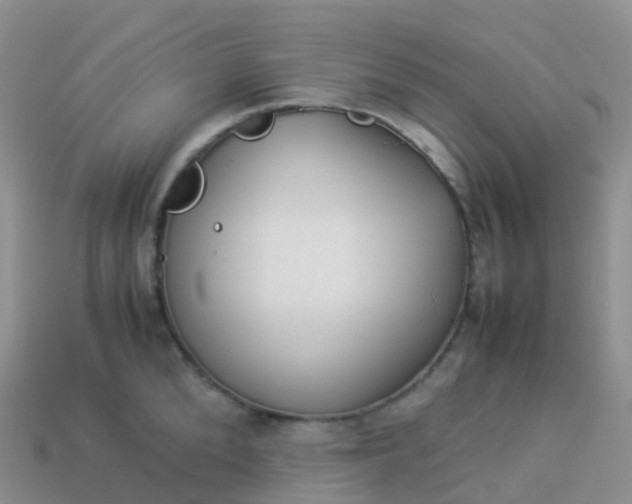 X0000113890904200910081806