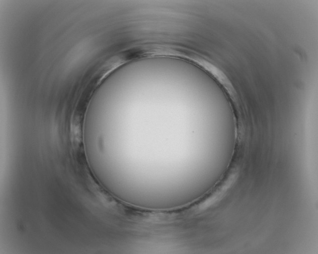 X0000113890905200910081806