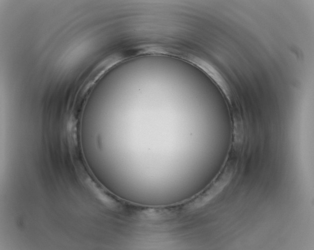 X0000113890906200910081806