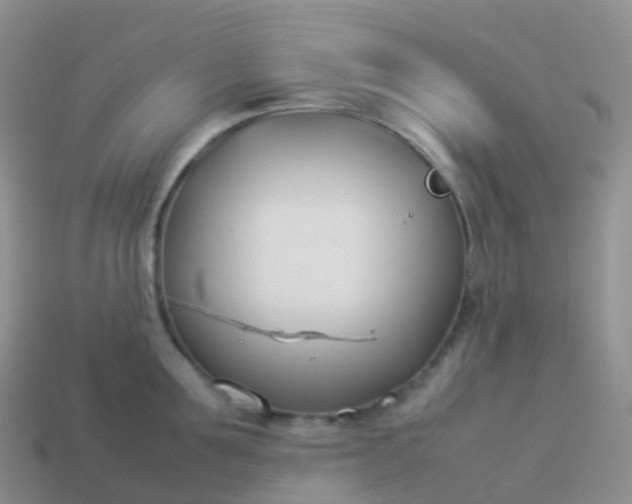 X0000113890907200910081805