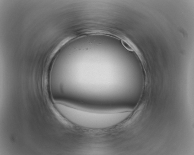 X0000113890909200910081805