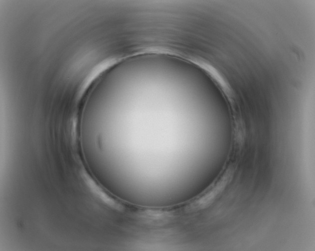 X0000113890910200910081805