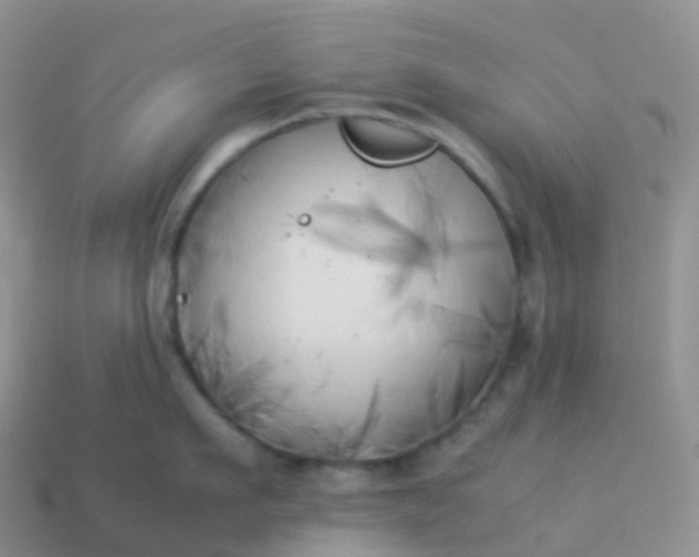 X0000113890911200910081805