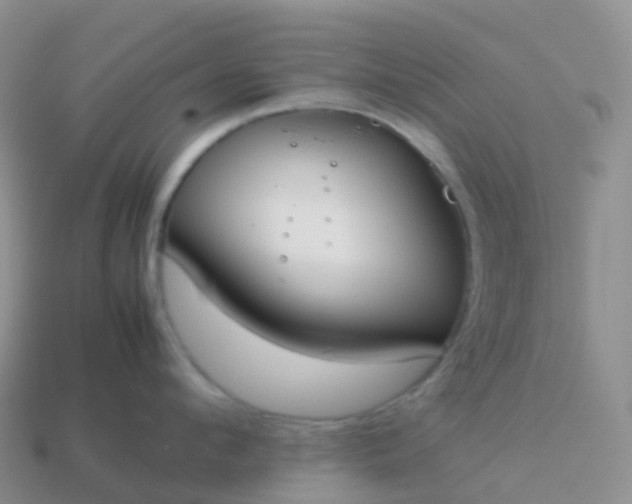 X0000113890912200910081805