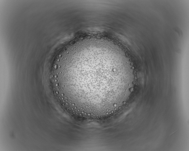 X0000113890913200910081805