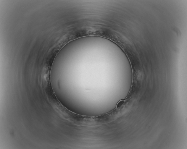 X0000113890914200910081805