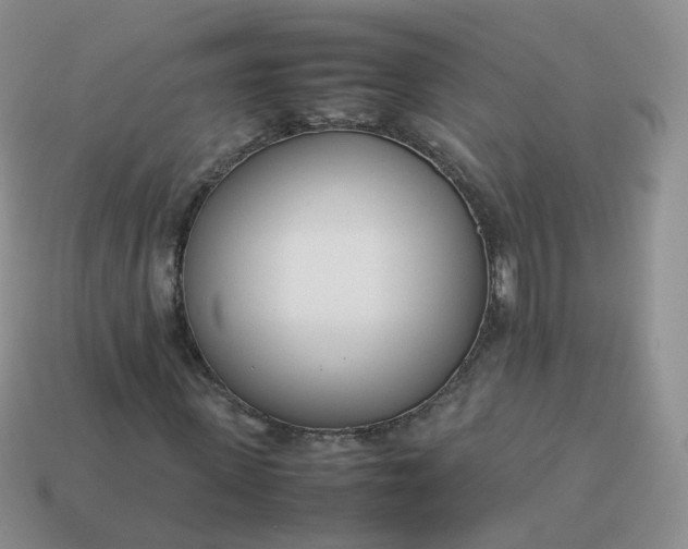 X0000113890915200910081805