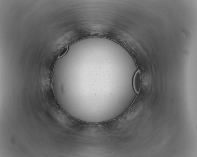 X0000113890916200910081805