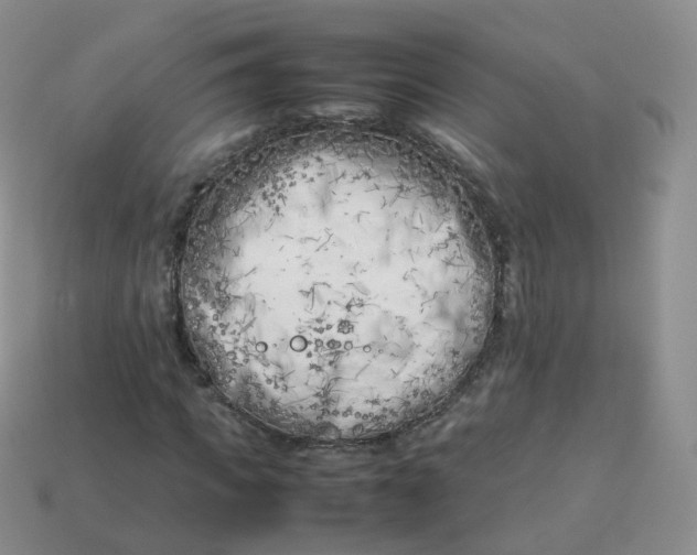 X0000113890917200910081805