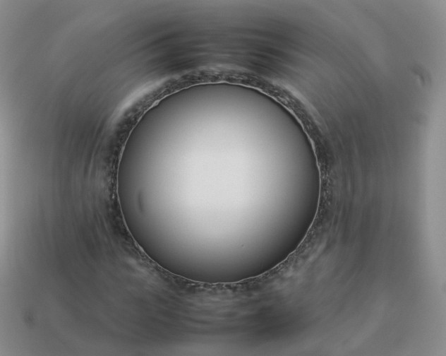 X0000113890919200910081805