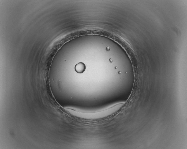 X0000113890920200910081805