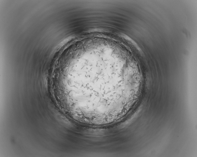 X0000113890921200910081805