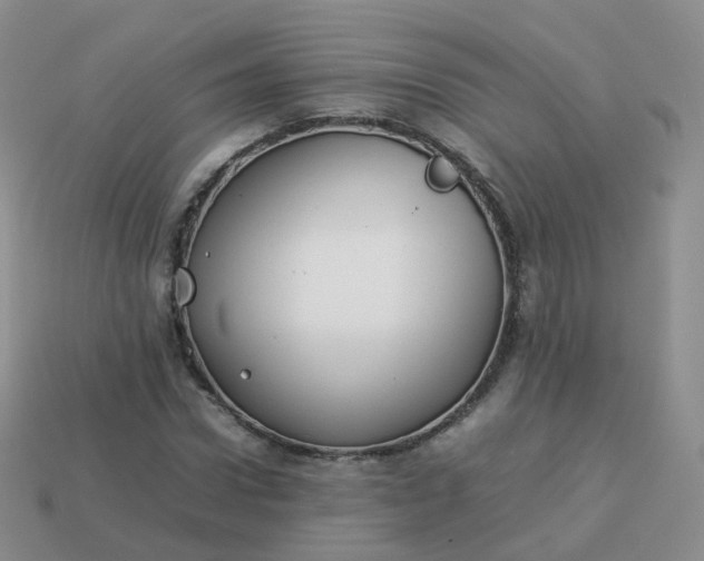 X0000113890922200910081805