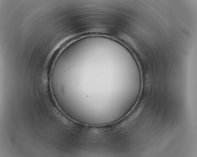 X0000113890923200910081805