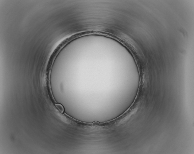 X0000113890924200910081805