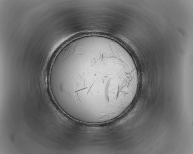 X0000113890925200910081805