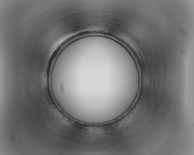 X0000113890927200910081805