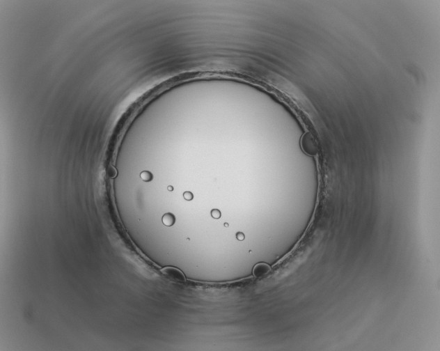 X0000113890928200910081805