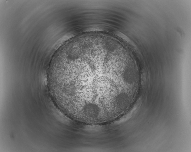 X0000113890929200910081805