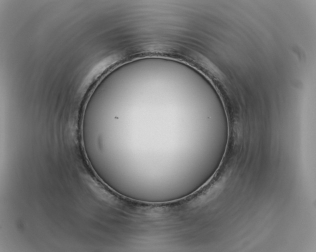 X0000113890930200910081805