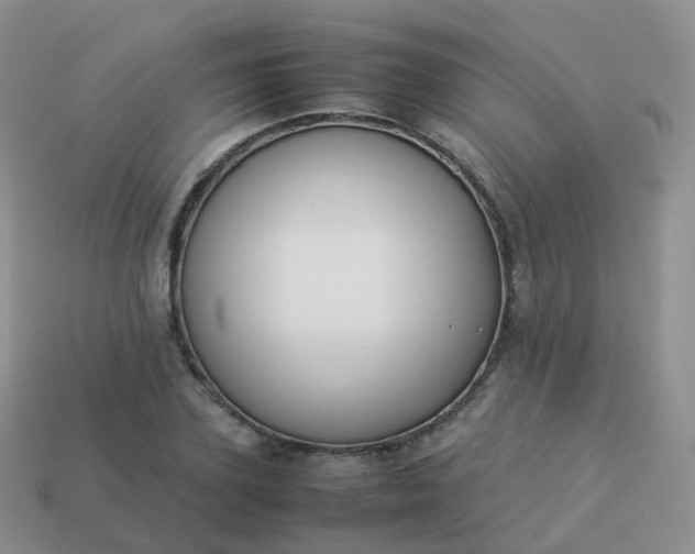 X0000113890931200910081805