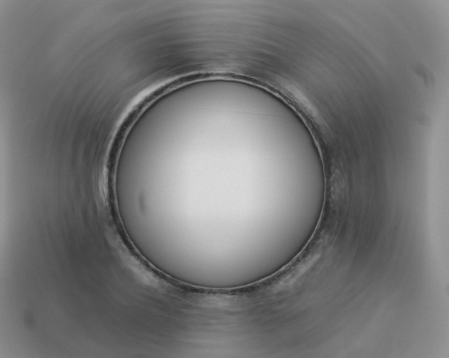 X0000113890932200910081805