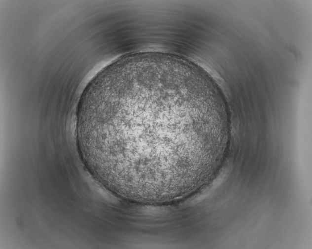 X0000113890933200910081805