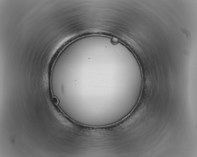 X0000113890934200910081805