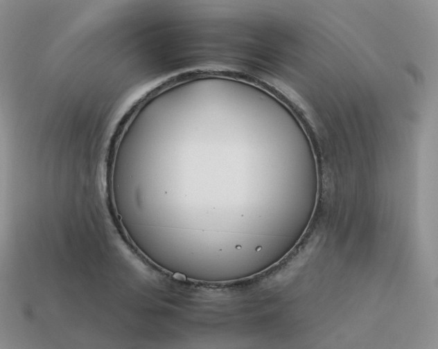 X0000113890935200910081805