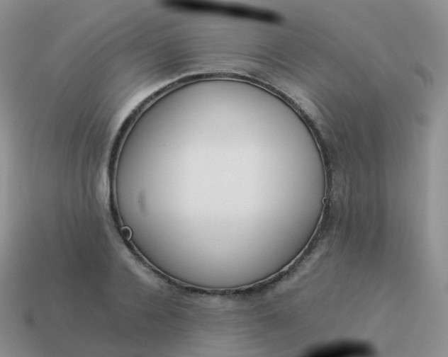 X0000113890936200910081805