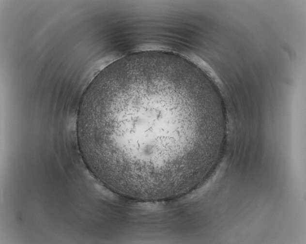 X0000113890937200910081805