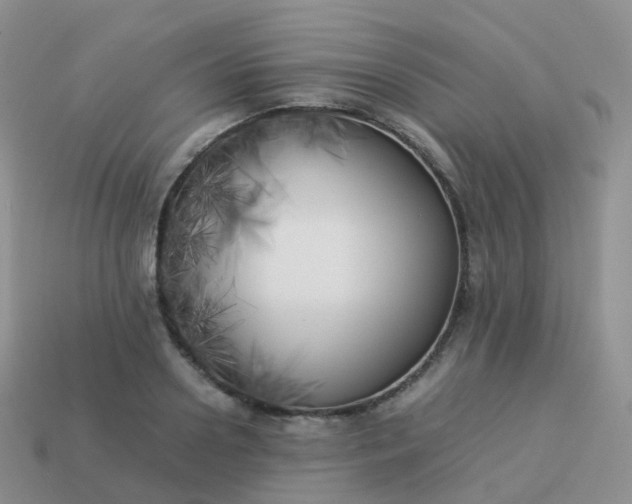 X0000113890938200910081805