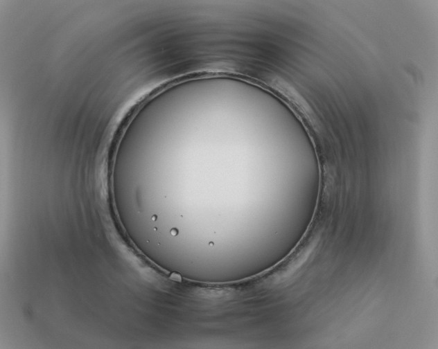 X0000113890939200910081805