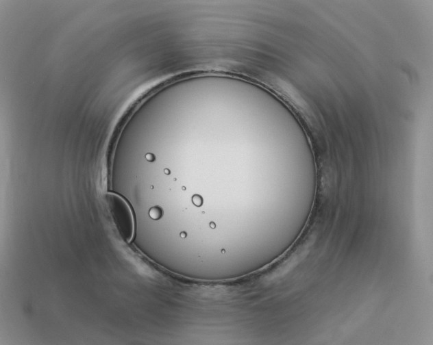 X0000113890940200910081805