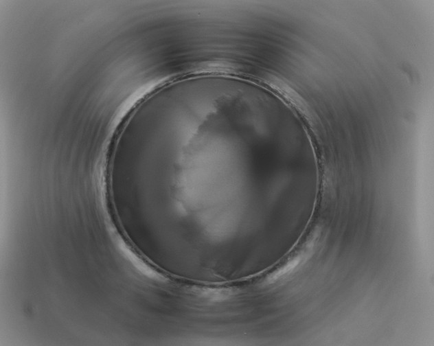 X0000113890941200910081805